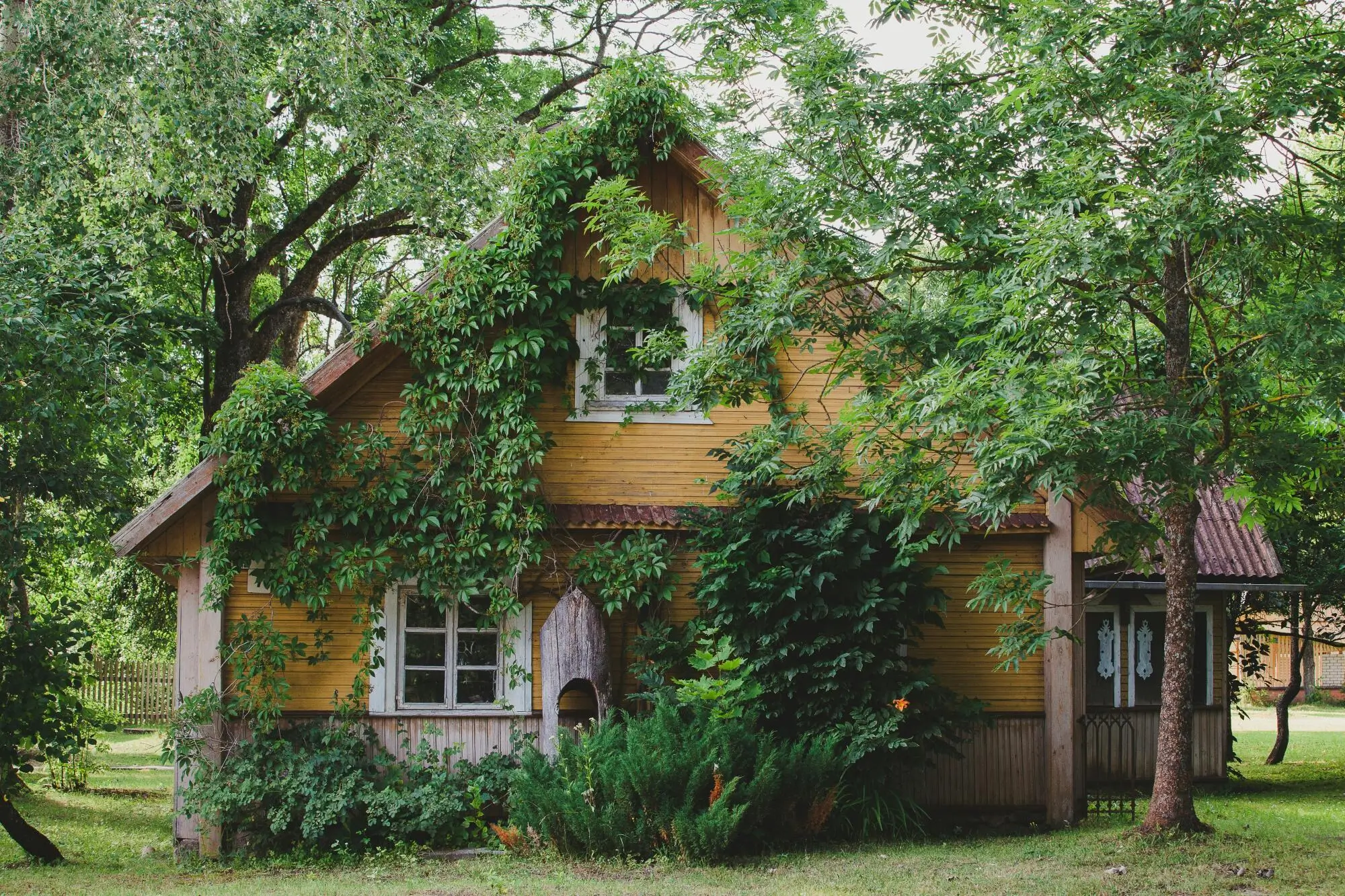 Sustainable Property Management: Eco-Friendly Solutions in Miami, FL