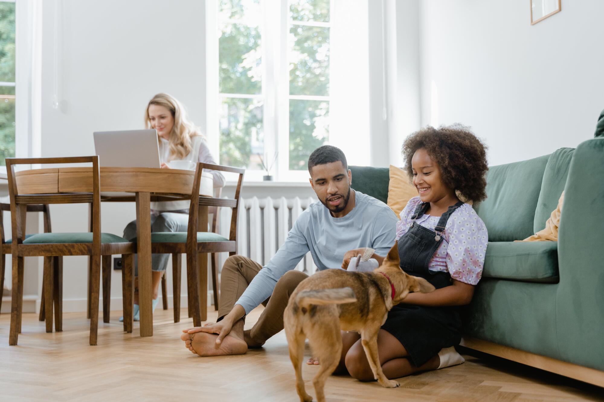 Pros and Cons of Allowing Pets in a Rental Property